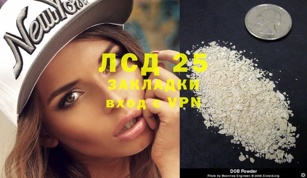 прущие грибы Тутаев