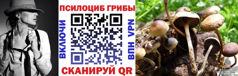 Псилоцибиновые грибы Cubensis  Купить где  Емва 